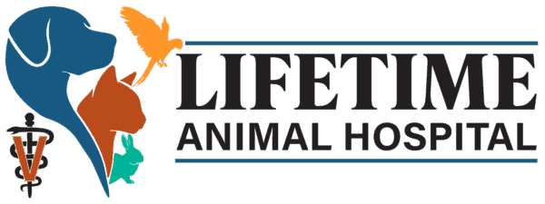 Lifetime Animal Hospital